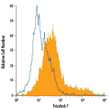 Detection of Frizzled-7 antibody in HEK293 Human Cell Line antibody by Flow Cytometry.