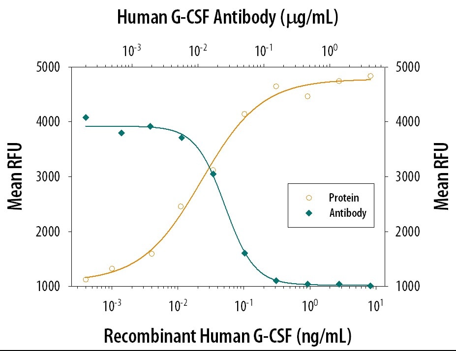 Cell Proliferation Induced by G‑CSF and Neutralization by Human G‑CSF Antibody.