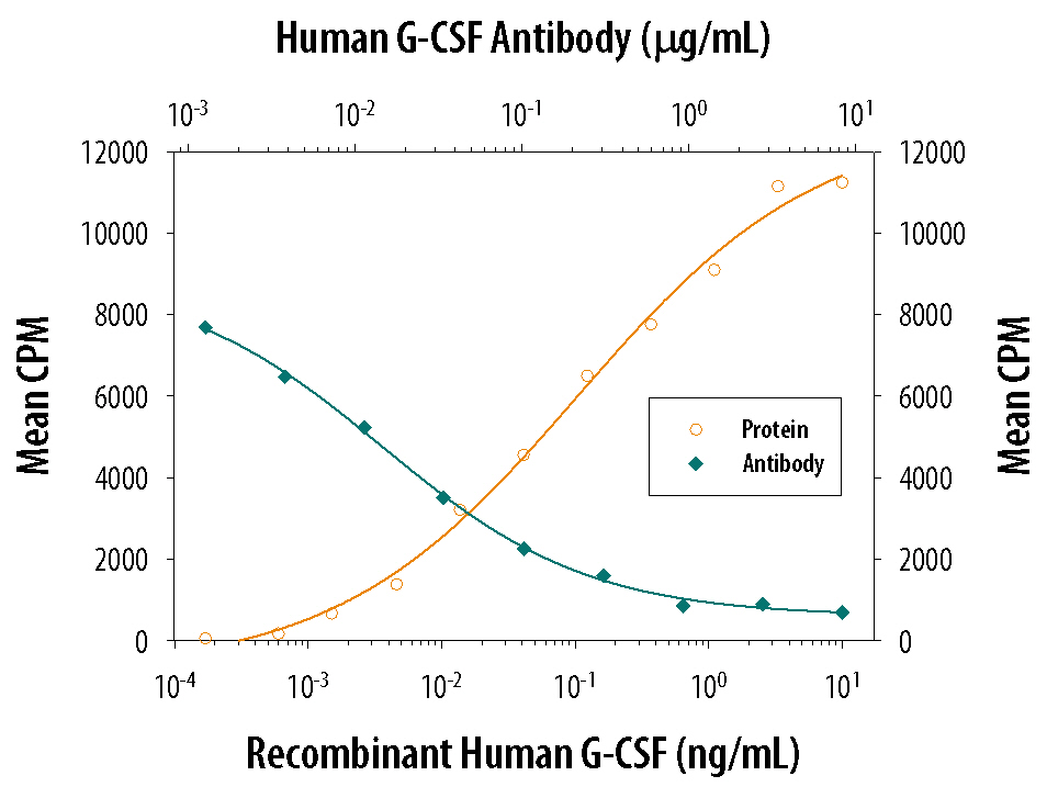 Cell Proliferation Induced by G‑CSF and Neutralization by Human G‑CSF Antibody.