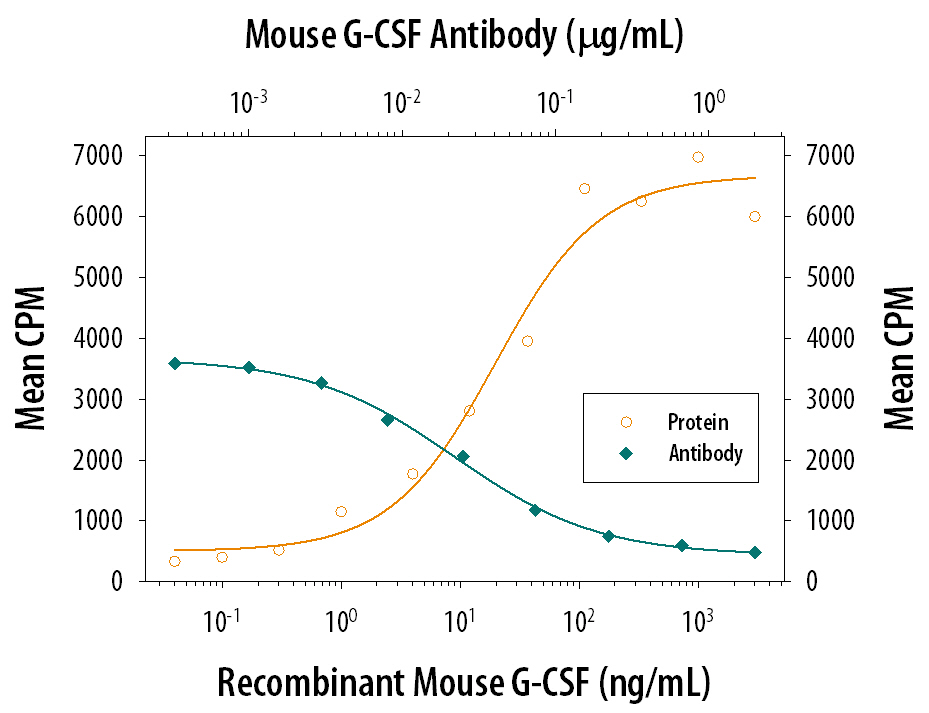 Cell Proliferation Induced by G‑CSF and Neutralization by Mouse G‑CSF Antibody.