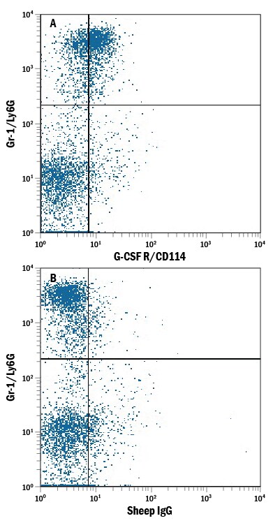 Detection of G-CSF R/CD114 antibody in Mouse Bone Marrow antibody by Flow Cytometry.