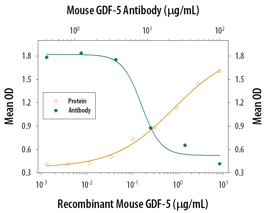 Alkaline Phosphatase Production Induced by GDF‑5 and Neutralization by Mouse GDF‑5 Antibody.