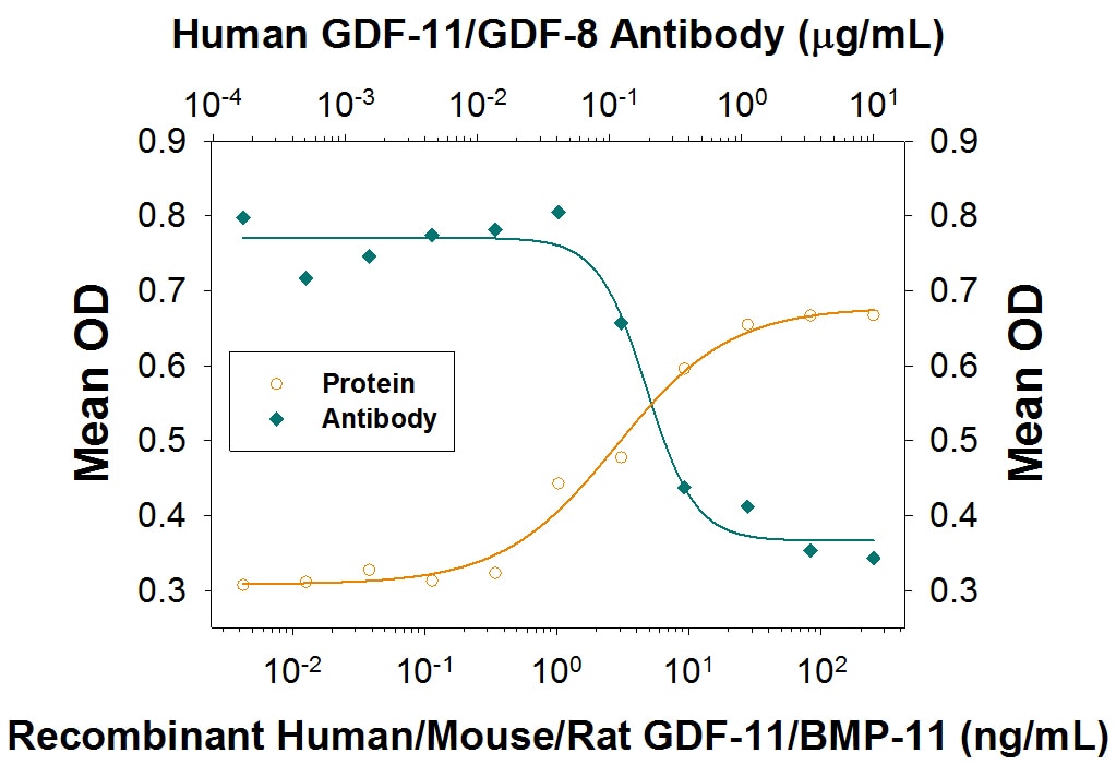 Induction of Hemoglobin Expression by GDF-11/BMP-11 and Neutralization by anti-GDF-11/GDF-8 Antibody.