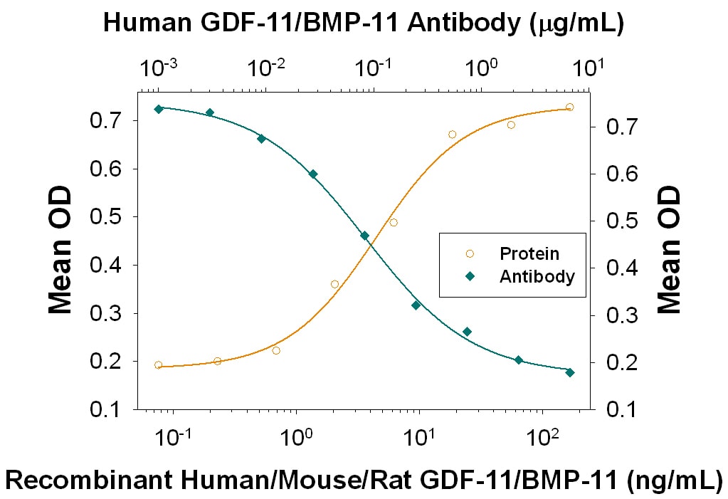 Induction of Hemoglobin Expression by GDF‑11/BMP‑11 and Neutralization by anti-GDF‑11/GDF‑8 Antibody.