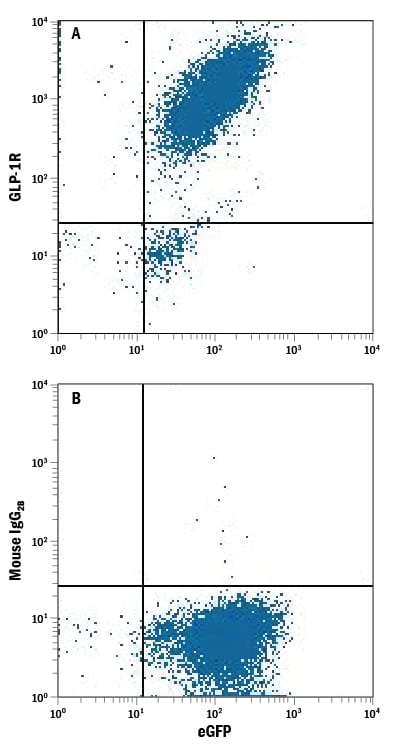 Detection of GLP‑1R antibody in HEK293 Human Cell Line Transfected with Human GLP-1R and eGFP antibody by Flow Cytometry.