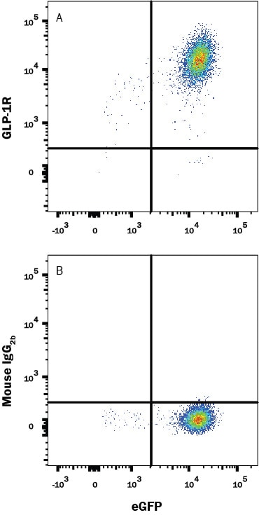 Detection of GLP-1R antibody in HEK293 Human Cell Line Transfected with Human GLP-1R and eGFP antibody by Flow Cytometry.