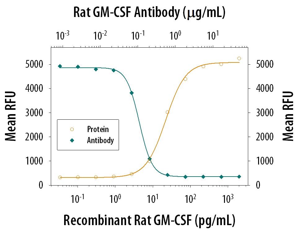 Cell Proliferation Induced by GM‑CSF and Neutralization by Rat GM‑CSF Antibody.