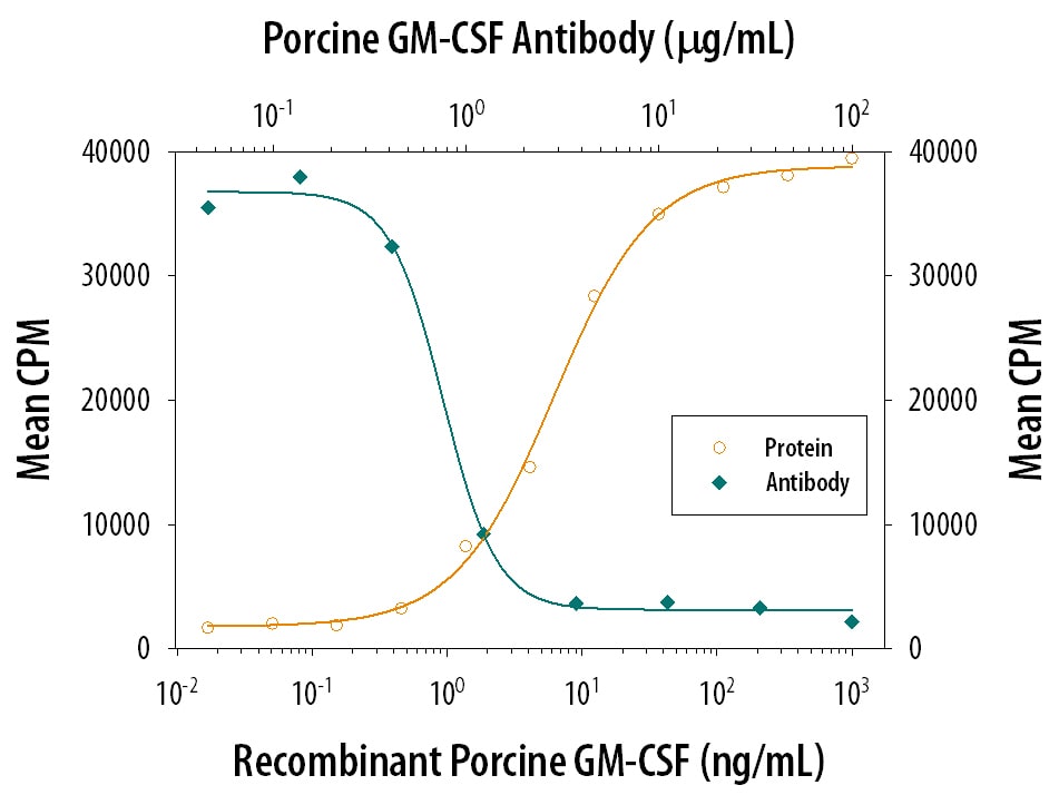 Cell Proliferation Induced by GM‑CSF and Neutralization by Porcine GM‑CSF Antibody.
