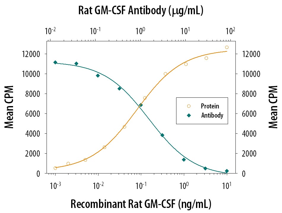 Cell Proliferation Induced by GM‑CSF and Neutralization by Rat GM‑CSF Antibody.