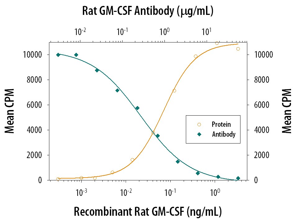 Cell Proliferation Induced by GM‑CSF and Neutralization by Rat GM‑CSF Antibody.