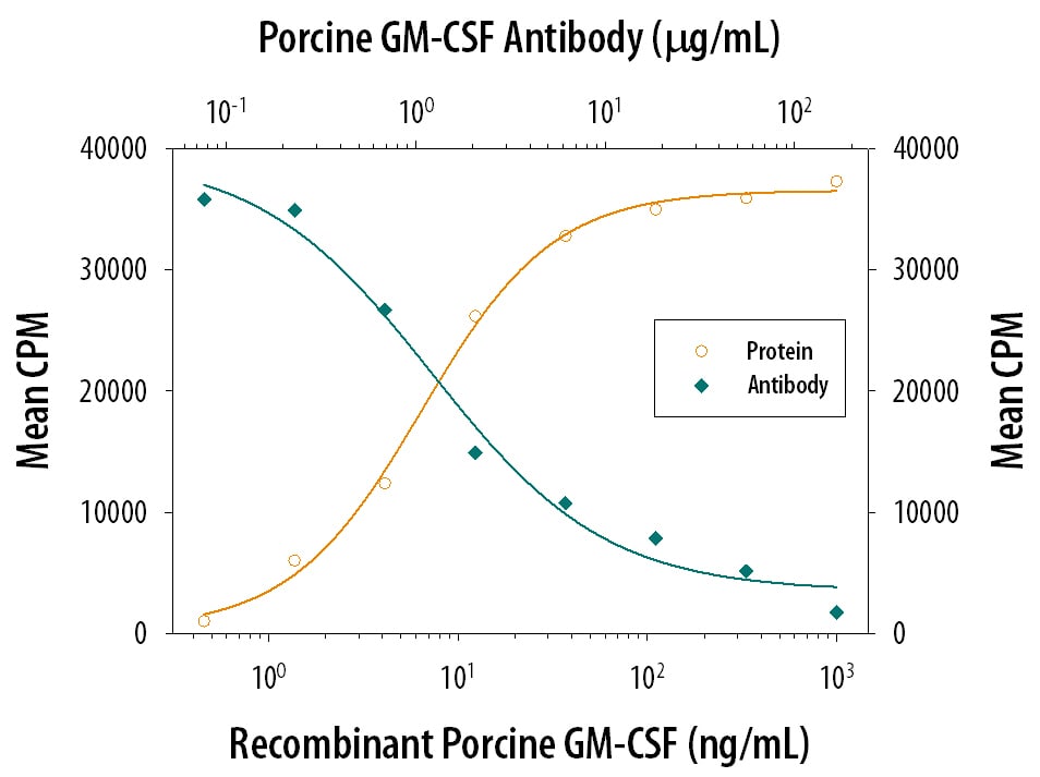 Cell Proliferation Induced by GM‑CSF and Neutralization by Porcine GM‑CSF Antibody.