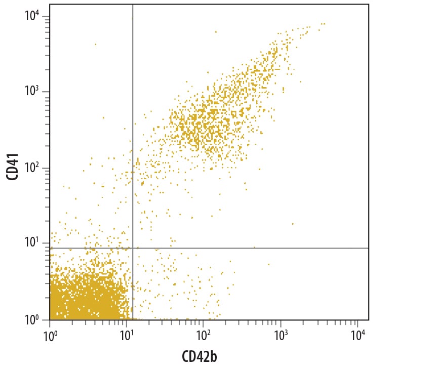 Detection of Human CD42b/GPIb a antibody in Human Whole Blood CD41+Platelets antibody by Flow Cytometry.