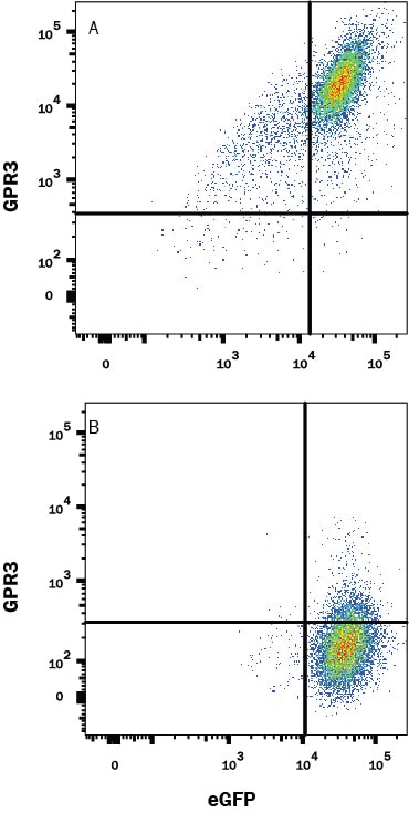 Detection of GPR3 antibody in HEK293 Human Cell Line Transfected with human GRP3 and eGFP antibody by Flow Cytometry.