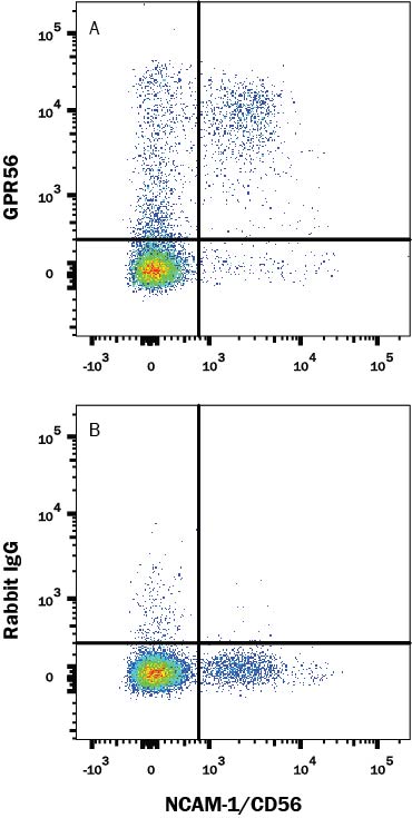 Detection of GPR56 antibody in Human Peripheral Blood Cells antibody by Flow Cytometry.