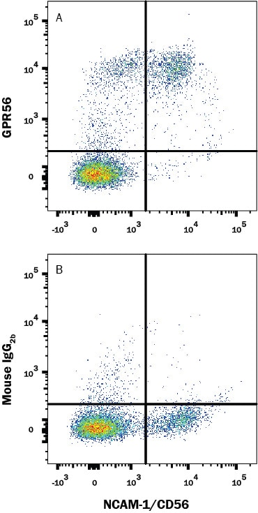 Detection of GPR56 antibody in Human Peripheral Blood Cells antibody by Flow Cytometry.