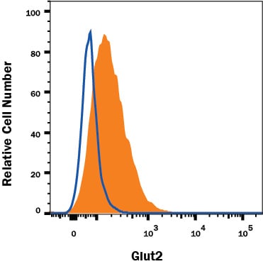 Detection of Glut2 antibody in HepG2 Human Cell Line antibody by Flow Cytometry.