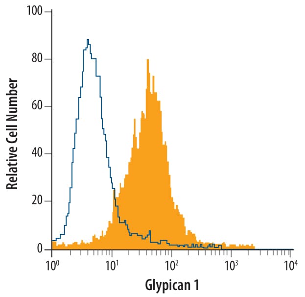Detection of Glypican 1 antibody in MDA‑MB‑231 Human Cell Line antibody by Flow Cytometry.
