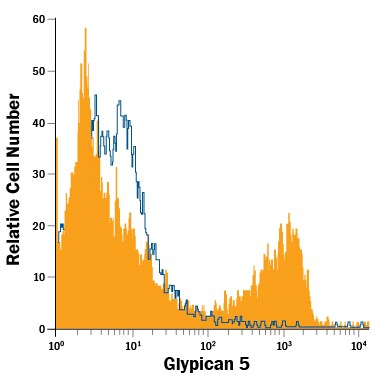 Detection of Glypican 5 antibody in H9 Human Cell Line antibody by Flow Cytometry.