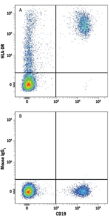 Detection of HLA‑DR antibody in Human PBMCs antibody by Flow Cytometry.