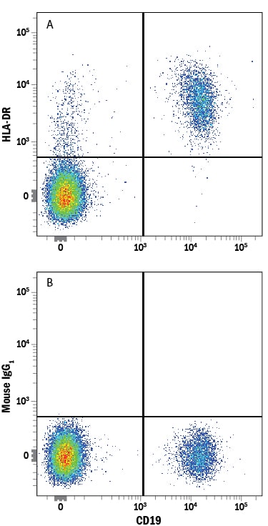 Detection of HLA-DR antibody in Human PBMCs antibody by Flow Cytometry.