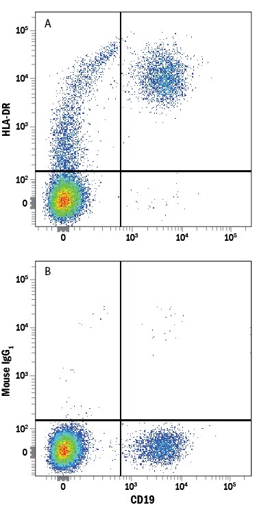 Detection of HLA‑DR antibody in Human PBMCs antibody by Flow Cytometry.