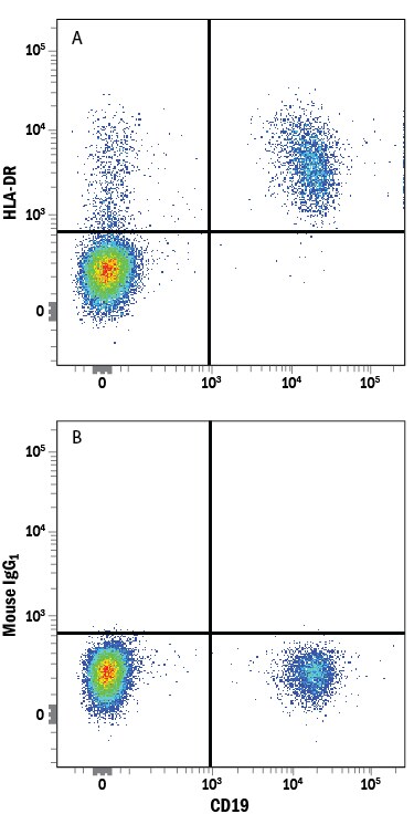 Detection of HLA‑DR antibody in Human PBMCs antibody by Flow Cytometry.