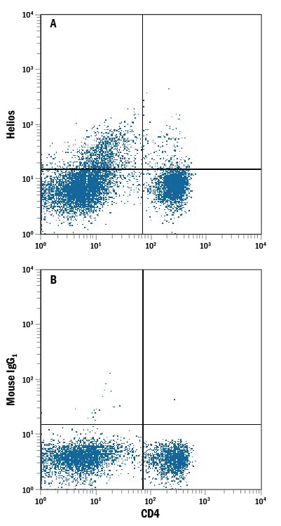 Detection of Helios antibody in Human PBMCs antibody by Flow Cytometry.