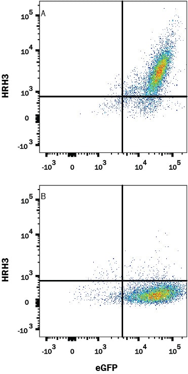 Detection of Histamine H3 R antibody in HEK293 Human Cell Line Transfected with Human Histamine H3 R and eGFP antibody by Flow Cytometry.
