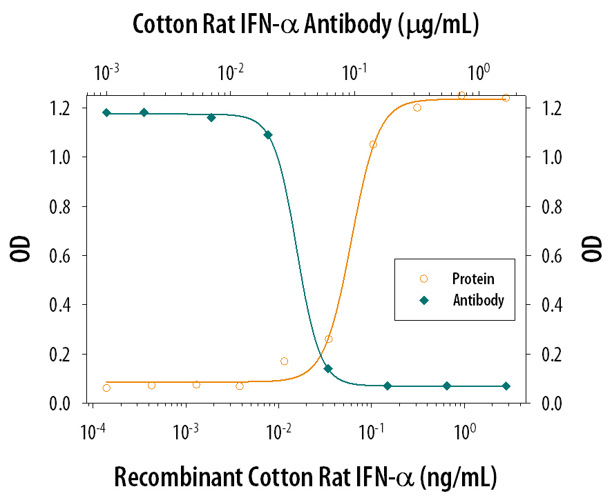 IFN‑ alpha  Inhibition of EMCV-induced Cytopathy and Neutralization by Cotton Rat IFN‑ alpha  Antibody.