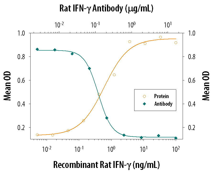 IFN‑ gamma  Inhibition of EMCV-induced Cytopathy and Neutralization by Mouse/Rat IFN‑ gamma  Antibody.