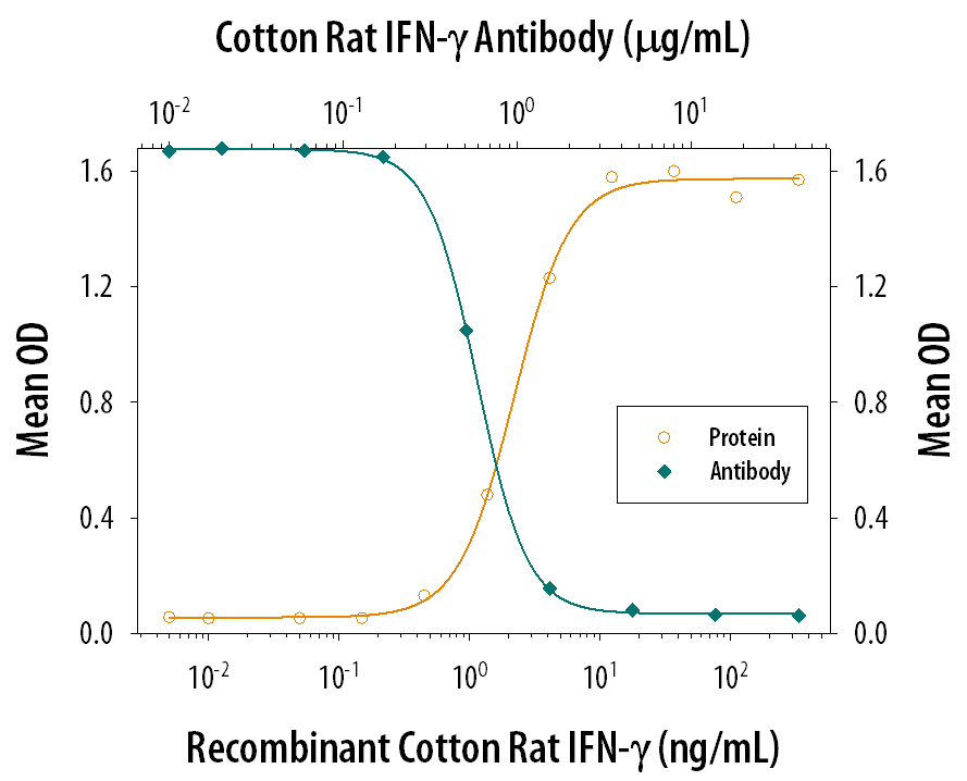 IFN‑ gamma  Inhibition of EMC-induced Cytopathy and Neutralization by Cotton Rat IFN‑ gamma  Antibody.