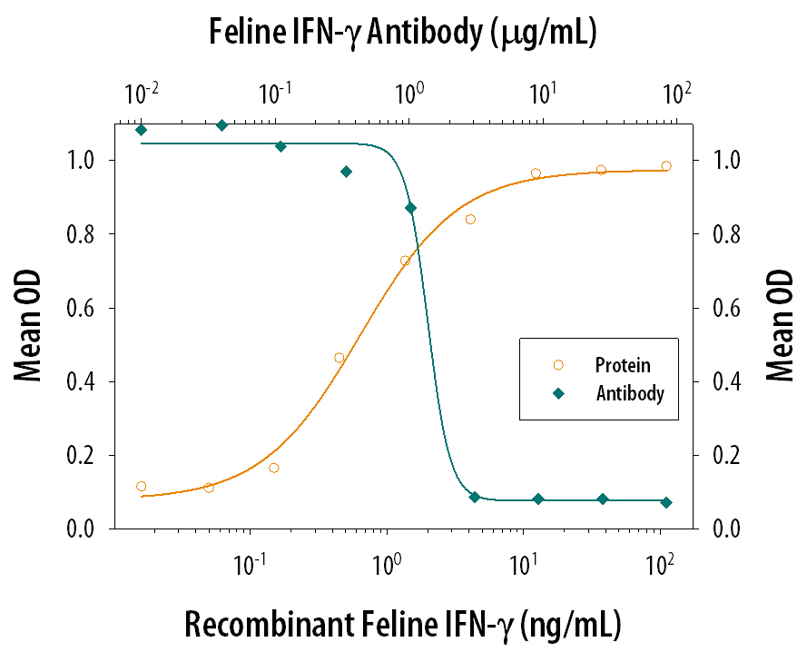 IFN‑ gamma  Inhibition of VSV-induced Cytopathy and Neutralization by Feline IFN‑ gamma  Antibody.