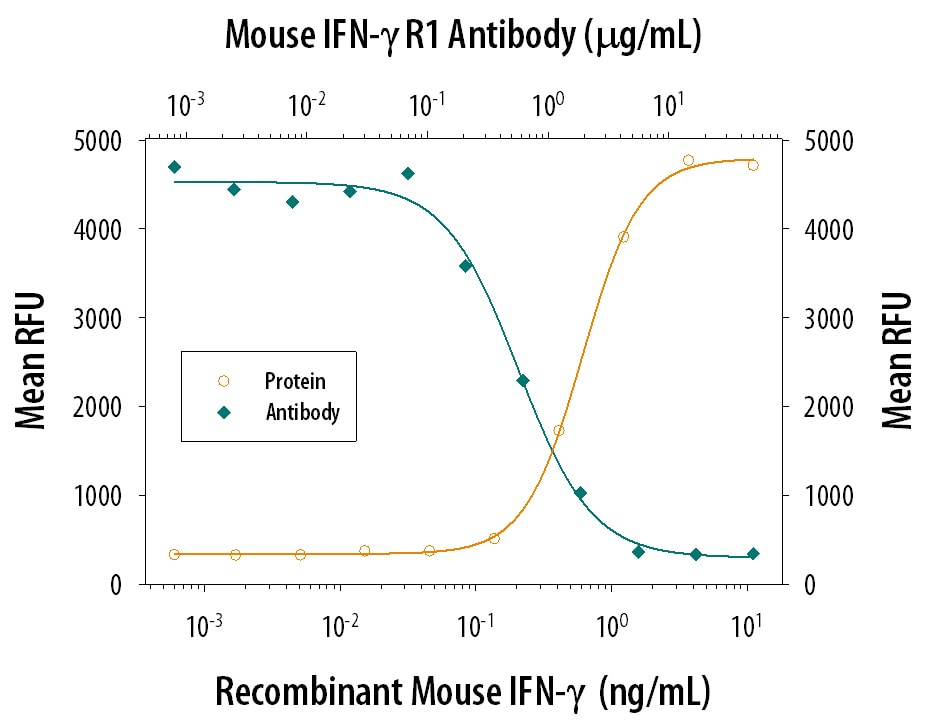 IFN‑ gamma  Inhibition of EMCV-induced Cytopathy and Neutralization by Mouse IFN‑ gamma  R1/CD119 Antibody.