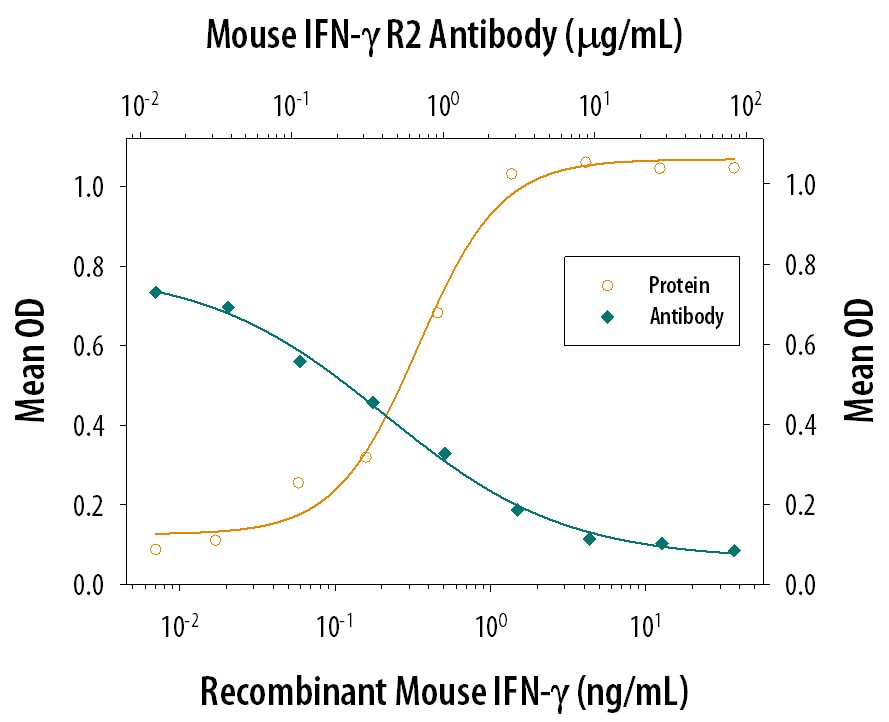 IFN‑ gamma  Inhibition of EMCV-induced Cytopathy and Neutralization by Mouse IFN‑ gamma  R2 Antibody.