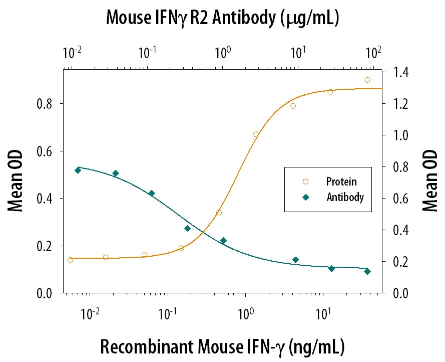 IFN‑ gamma  Inhibition of EMCV-induced Cytopathy and Neutralization by Mouse IFN‑ gamma  R2 Antibody.