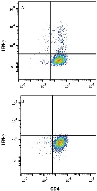 Detection of IFN‑? antibody in Mouse Splenocytes antibody by Flow Cytometry.