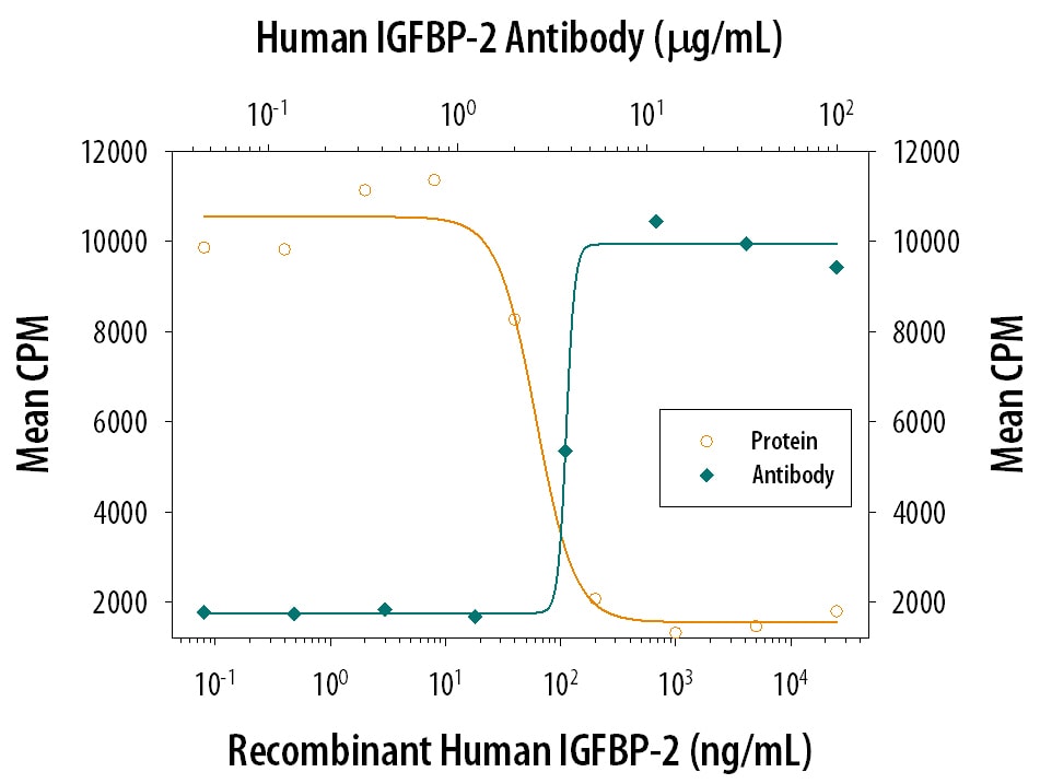 IGFBP‑2 Inhibition of IGF‑II-dependent Cell Proliferation and Neutralization by Human IGFBP‑2 Antibody.