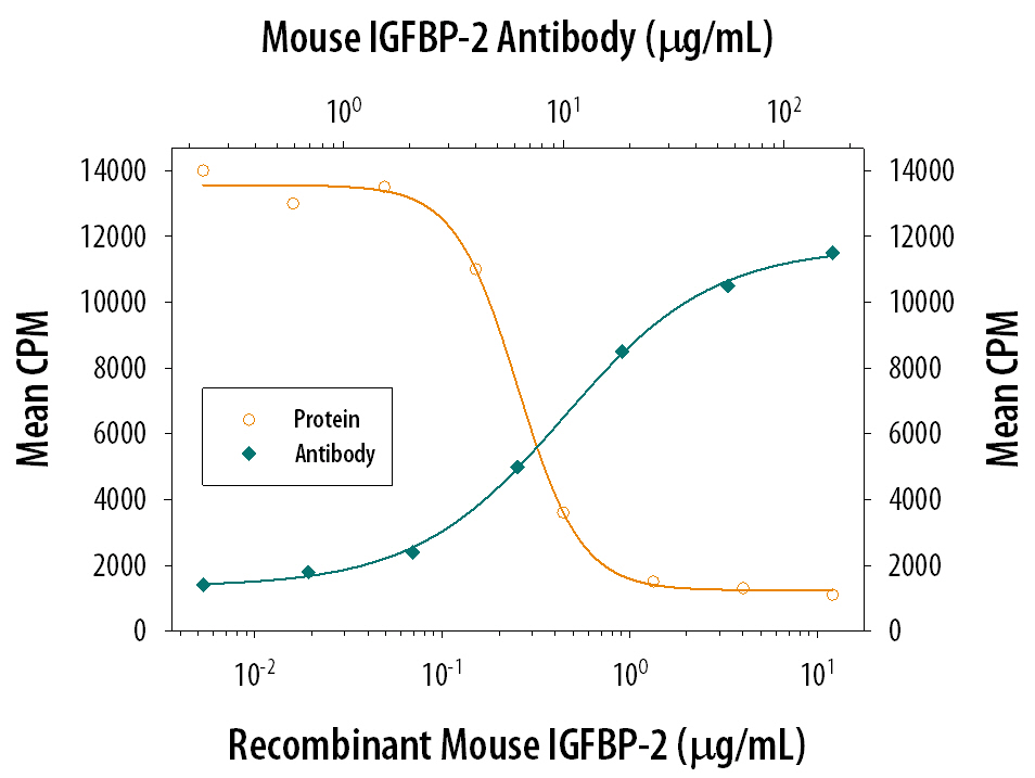 IGFBP‑2 Inhibition of IGF‑II-dependent Cell Proliferation and Neutralization by Mouse IGFBP‑2 Antibody.