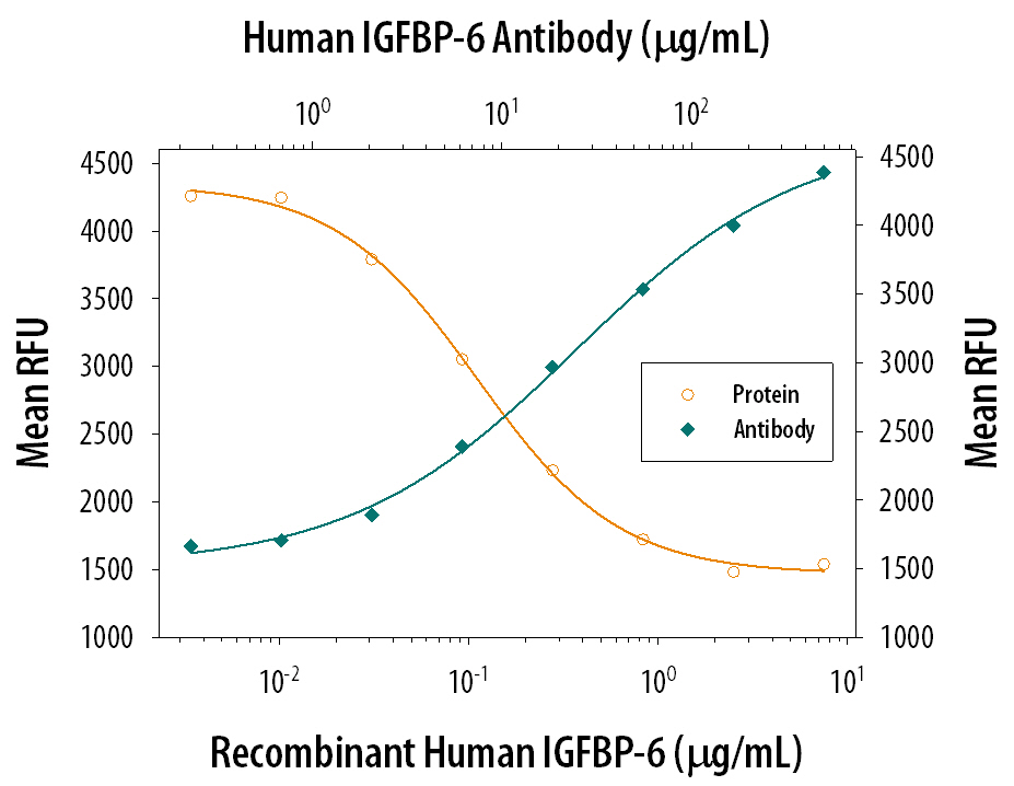 IGFBP‑6 Inhibition of IGF‑II-dependent Cell Proliferation and Neutralization by Human IGFBP‑6 Antibody.