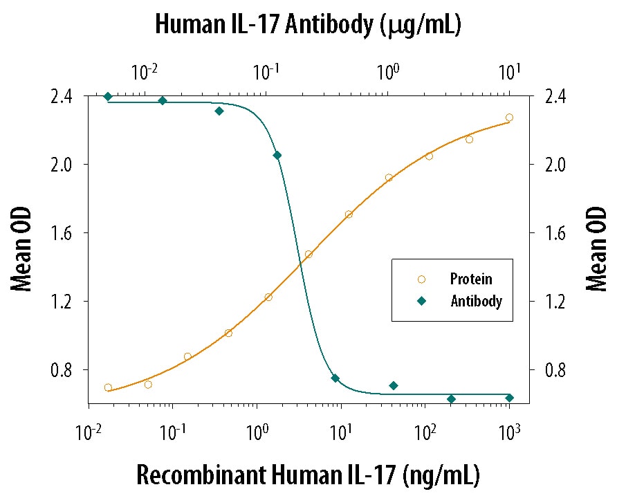 IL-6 Secretion Induced by IL-17 and Neutralization by Human IL-17 Antibody.