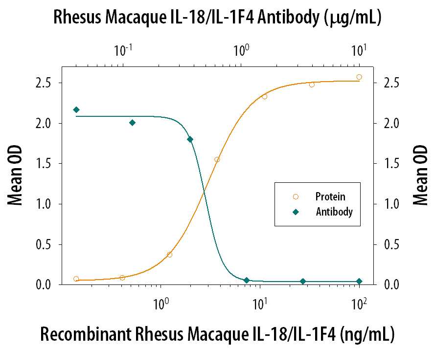 IFN‑ gamma  Secretion Induced by IL‑18/IL‑1F4 and Neutralization by Primate IL‑18/IL‑1F4 Antibody.