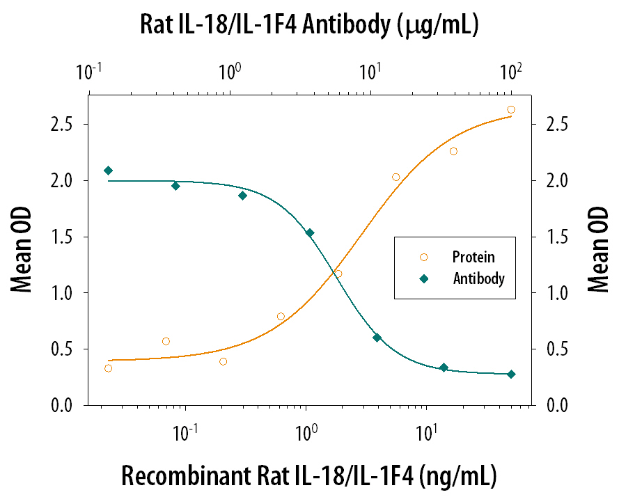 IFN‑ gamma  Secretion Induced by IL‑18/IL‑1F4 and Neutralization by Rat IL‑18/IL‑1F4 Antibody.
