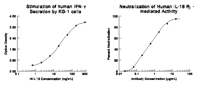IFN-gamma  secretion Induced by IL-18/IL1F4 and Neutralization by Human IL-18 R beta /IL-1 R7 Antibody.