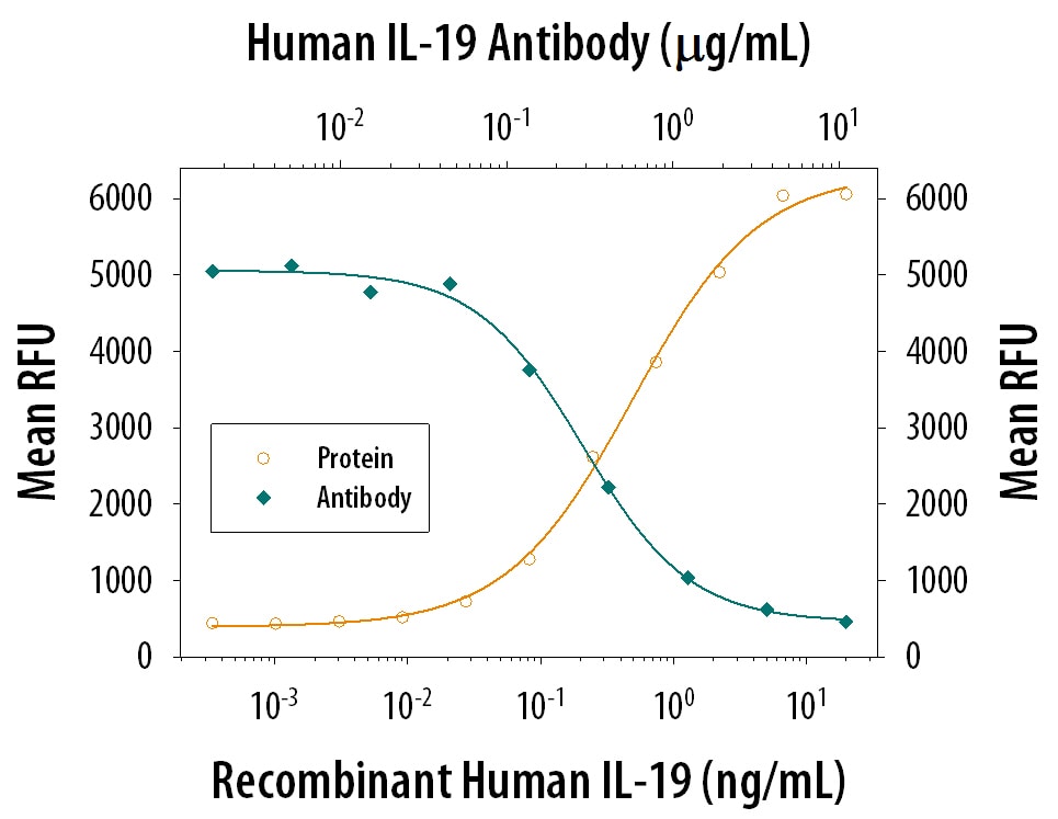 Cell Proliferation Induced by IL‑19 and Neutralization by Human IL‑19 Antibody.
