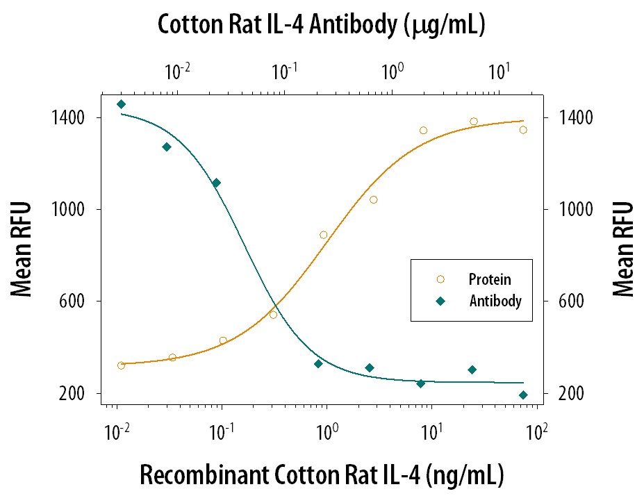Cell Proliferation Induced by IL‑4 and Neutralization by Cotton Rat IL‑4 Antibody.