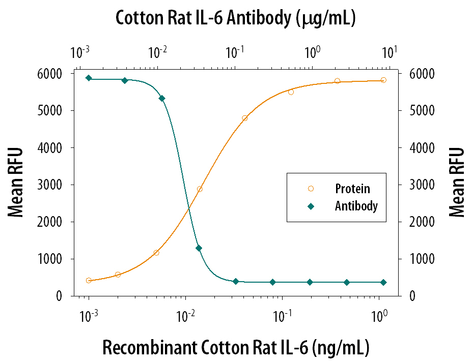 Cell Proliferation Induced by IL‑6 and Neutralization by Cotton Rat IL‑6 Antibody.