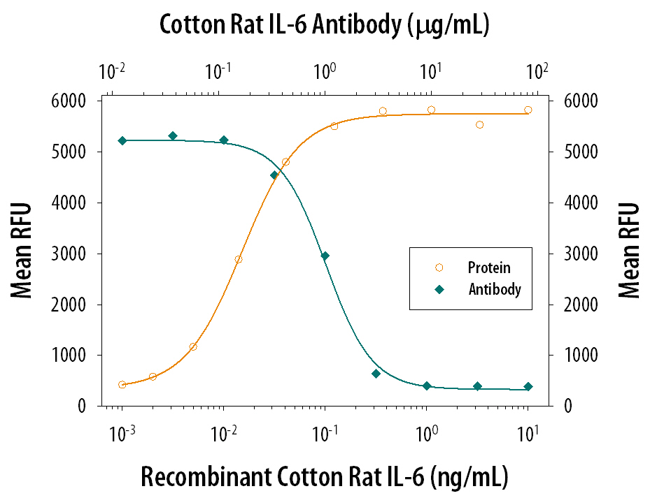 Cell Proliferation Induced by IL‑6 and Neutralization by Cotton Rat IL‑6 Antibody.