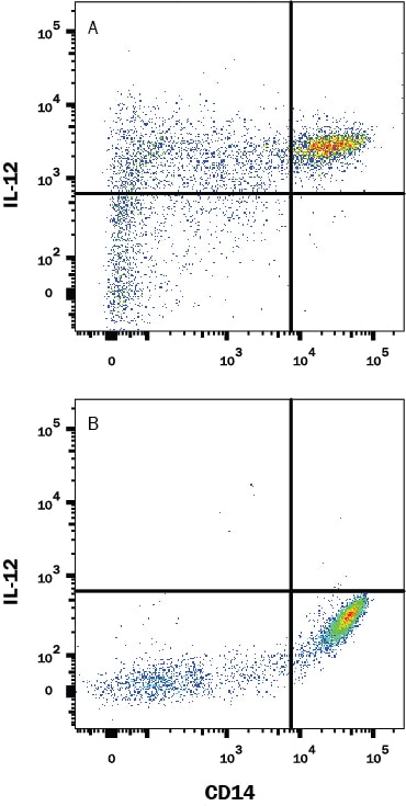 Detection of IL-12/IL-35 p35 antibody in Human PBMCs treated with rhIFN- ? and LPS antibody by Flow Cytometry.