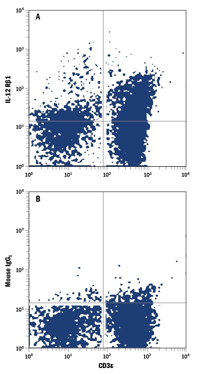 Detection of IL-12 R beta 1 antibody in Human PBMCs antibody by Flow Cytometry.