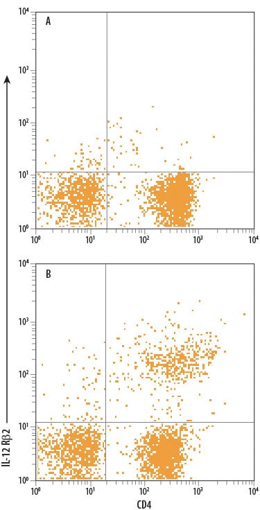 Detection of IL-12 R beta 2 antibody in Human PBMCs antibody by Flow Cytometry.